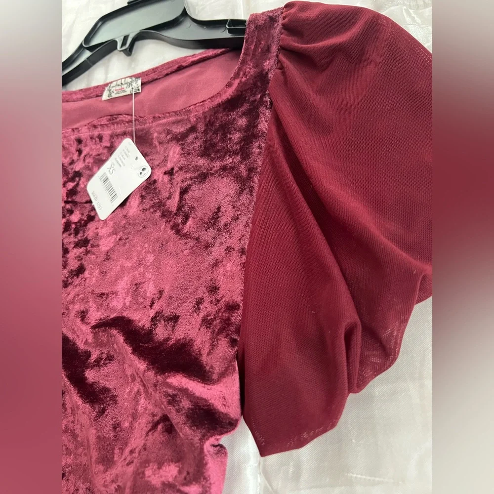 Free People Velvet Crop Top in Deep Wine
